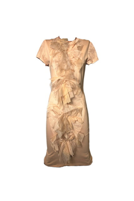 Bodycon Dress with Florets down the front