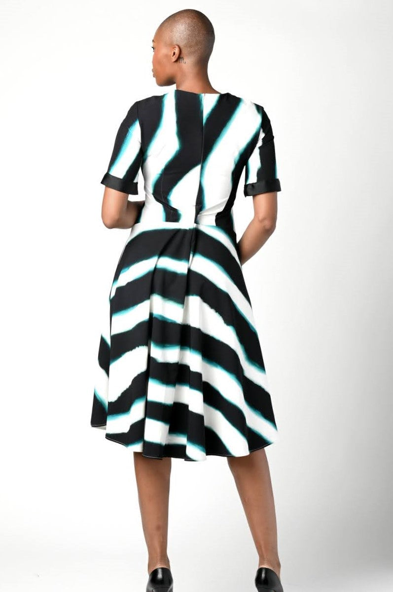Striped Printed Fit and Flare Dress
